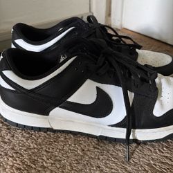 Nike Dunks Size 13