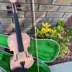 BEAUTIFUL COLOR VILION 4/4