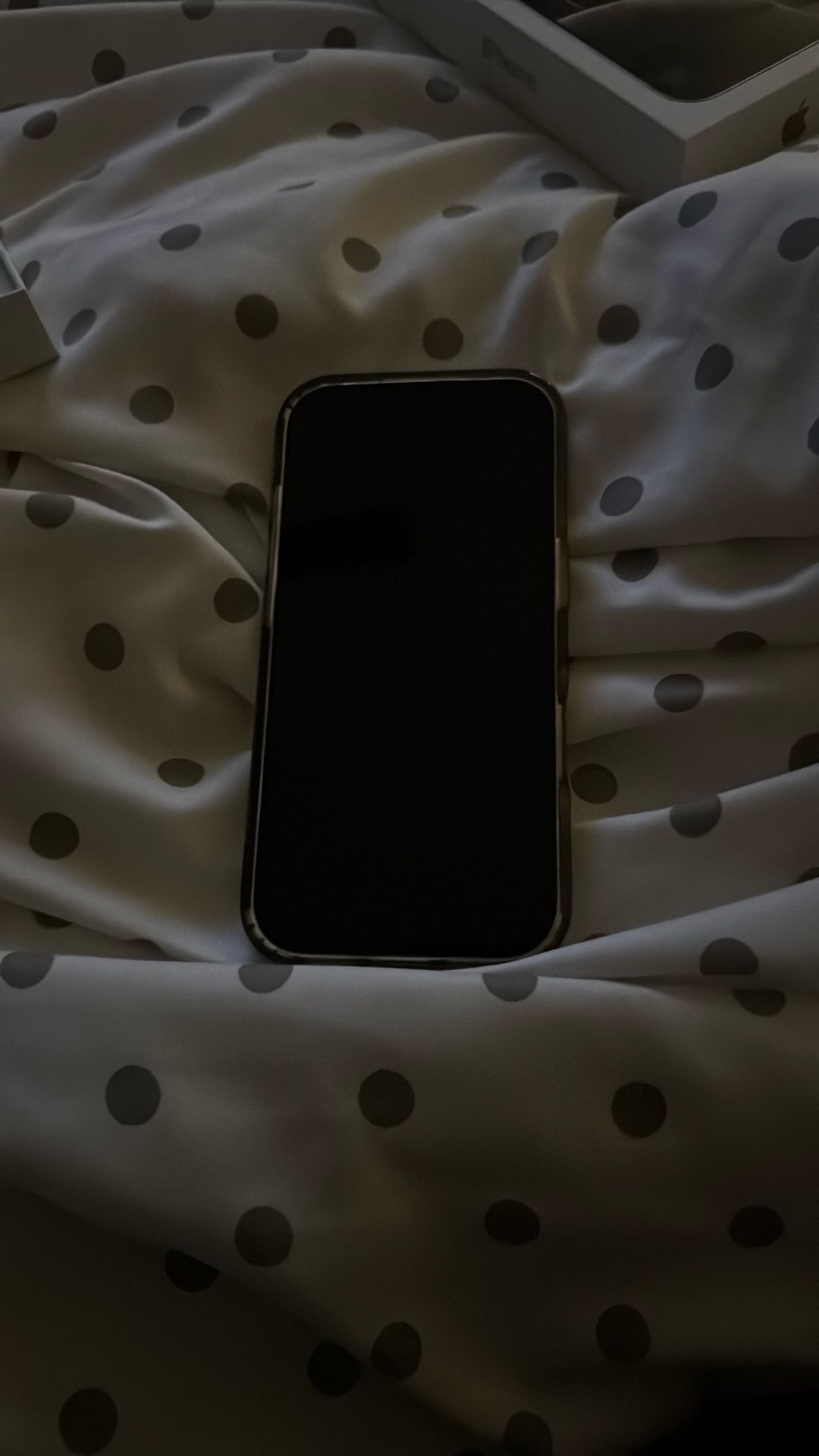 iPhone 16 Pro