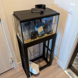 10 Gallon Fish Tank Setup With Stand