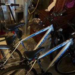 Adult Bikes