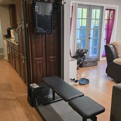 Speediance Gym Monster