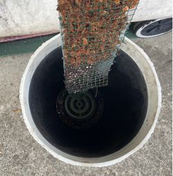 Textured White Planter with 50” Moss Pole