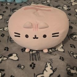 Pusheen Pink Plush