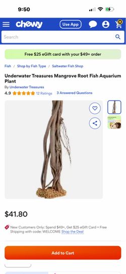 Mangrove Root Fish Aquarium Plant 16 inch tall