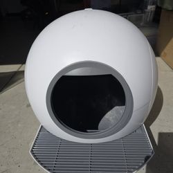 Cat Box