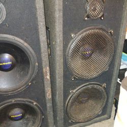 Pro Studio Speakers 