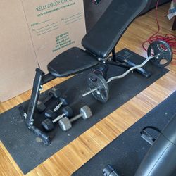 Dumbbell Bench, Dumbbells, And Curl bar