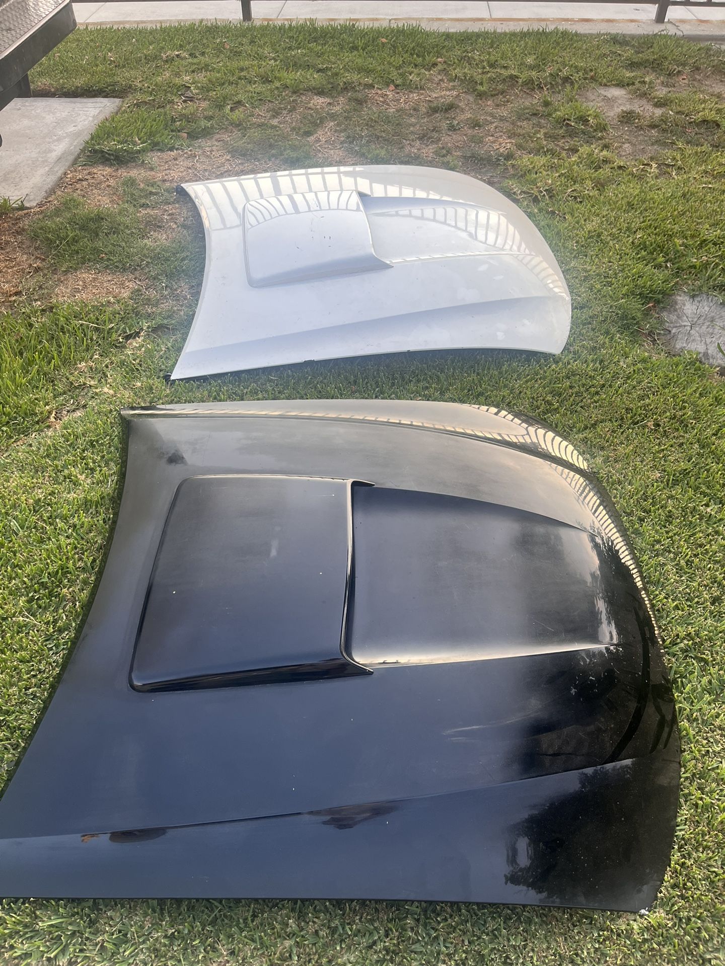 00-04 Mustang GT Hood (OEM)