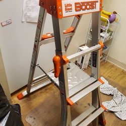 Little Giant Ladder