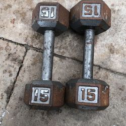 30 Lbs Weights 