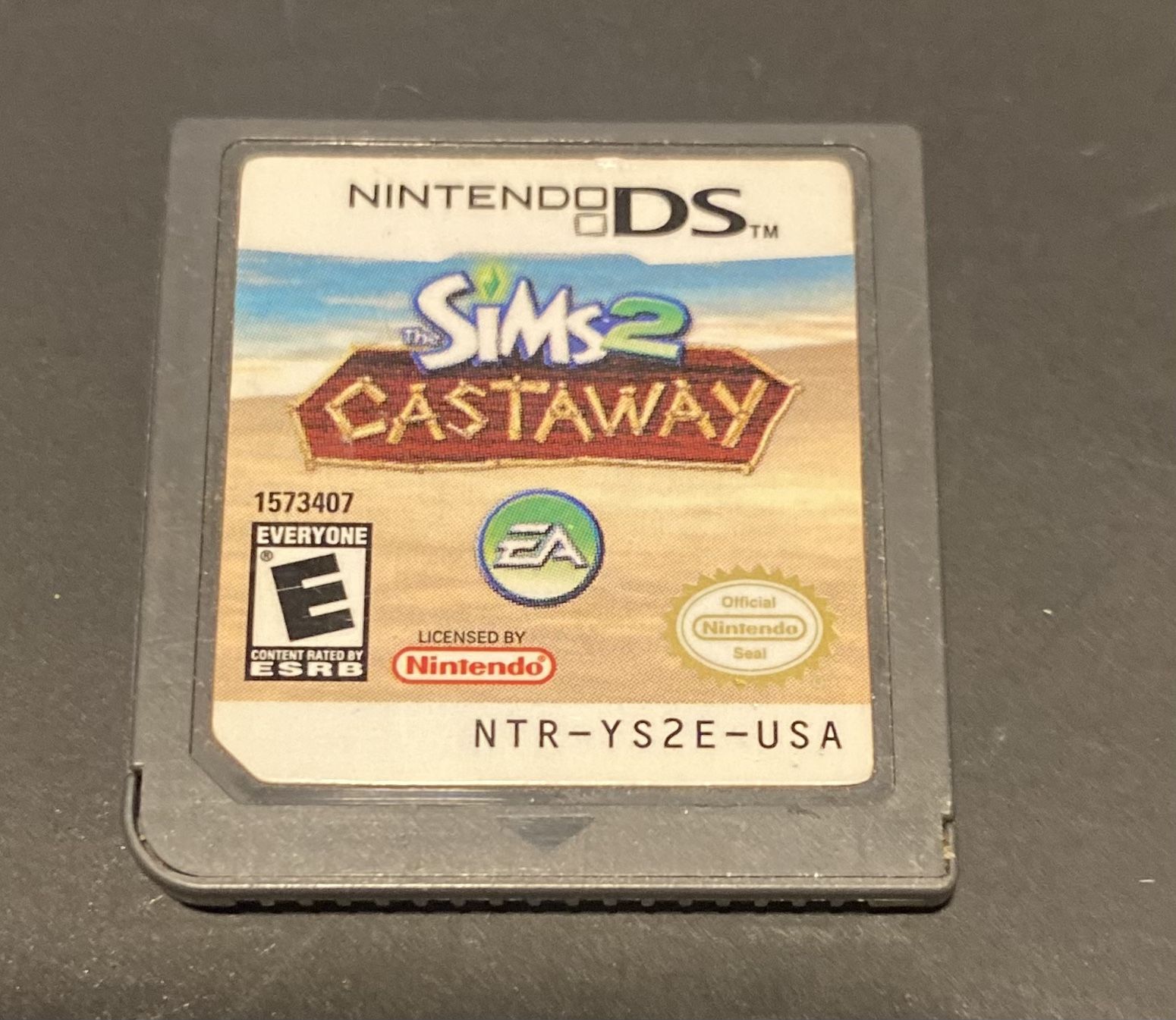 Sim City Cast Away Nintendo Ds