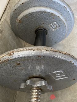 30 lbs Dumbell