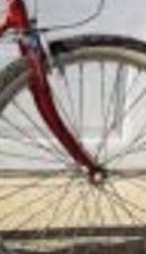 Schwinn Forks