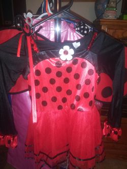 Ladybug costumes