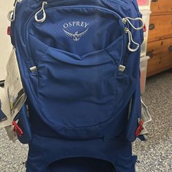 Osprey Poco Plus Hiking Backpack 