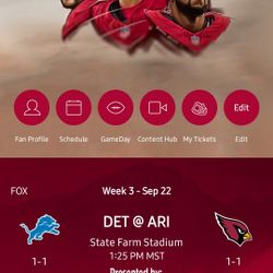 1 Lower Level Ticket For Cardinals Game Today