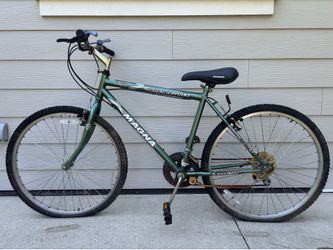 Adult bicycle