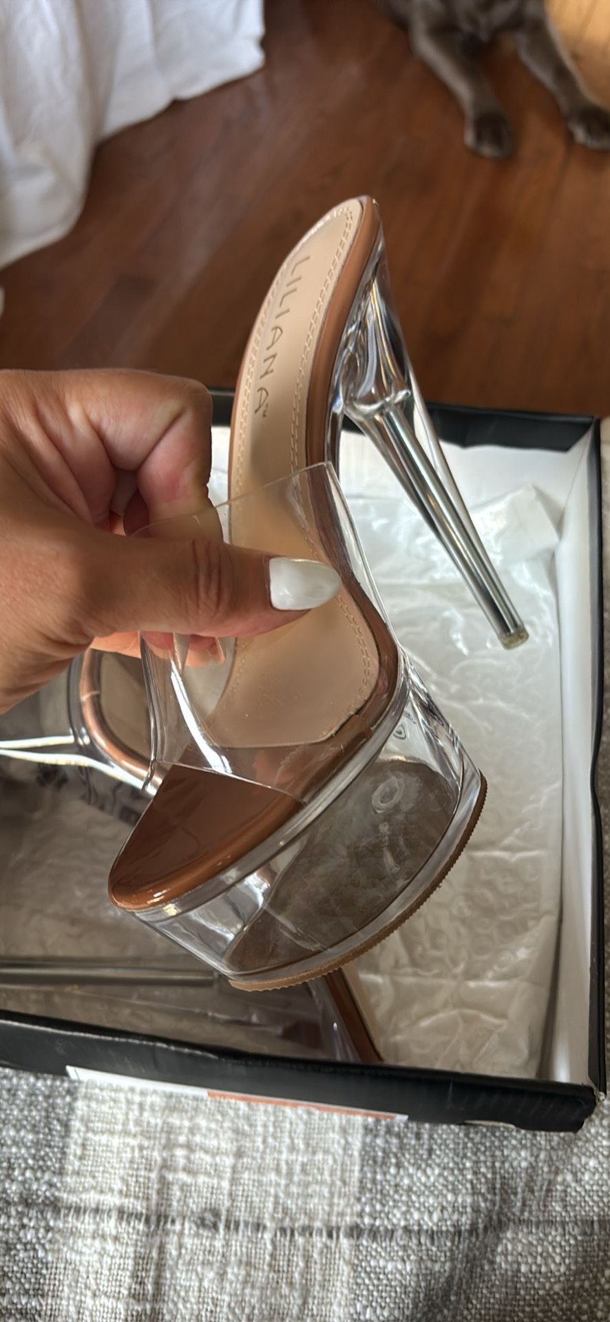 CLEAR PLATFORM HIGH HEELS/ Stilettos