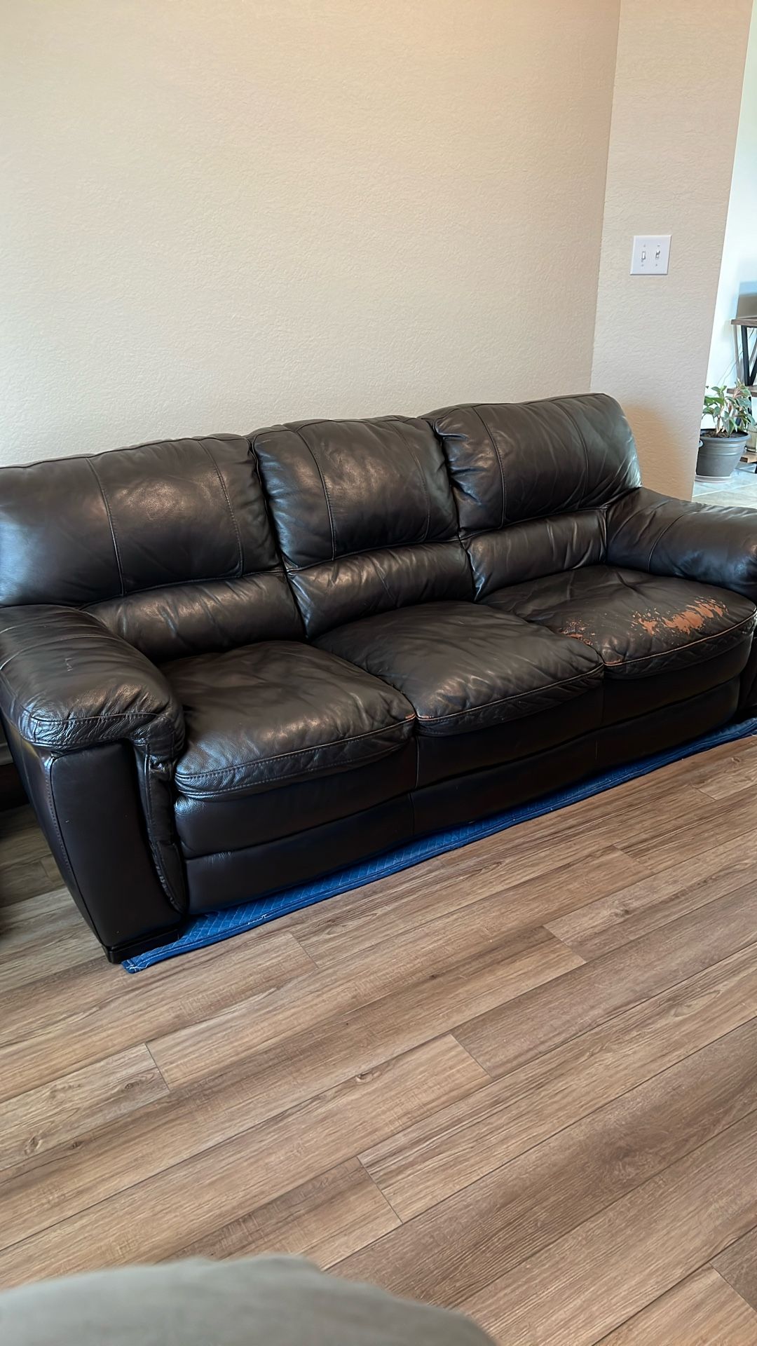 Leather Couch