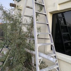  Ladders