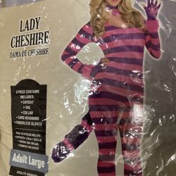 Cheshire cat costume
