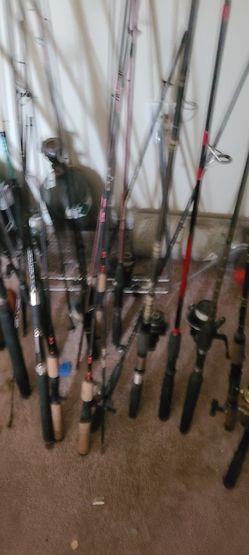 Lots of rods reels