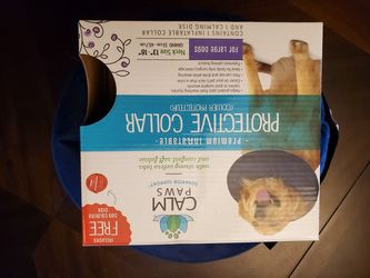 Protective inflatable dog collar