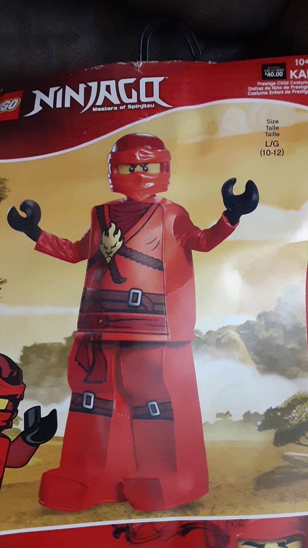 Ninjago costume