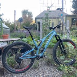 Specialized Expert Stumpjumper (Large)