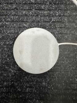 Google Nest Home Mini, price is firm
