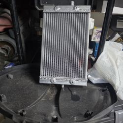 Dirt Bike / Atv Radiator  Only!! Brute Force Also For Sale Lmk