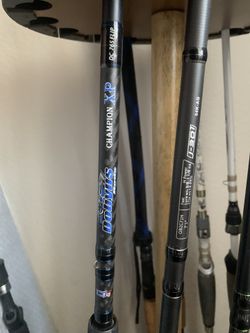 Casting Rod