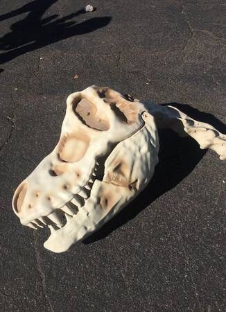 9ft Halloween t rex skeleton- HALLOWEEN DECORATION