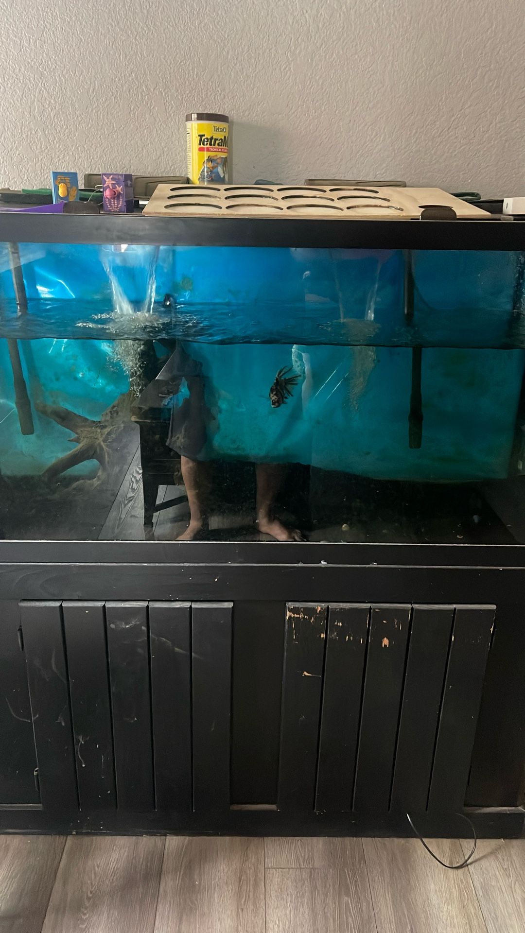 90 gallon Fish Tank