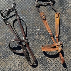 Horse bridles W Bits