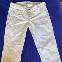 Hollister Pants