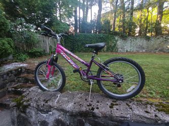 Womans mountain bike 20 inch rims