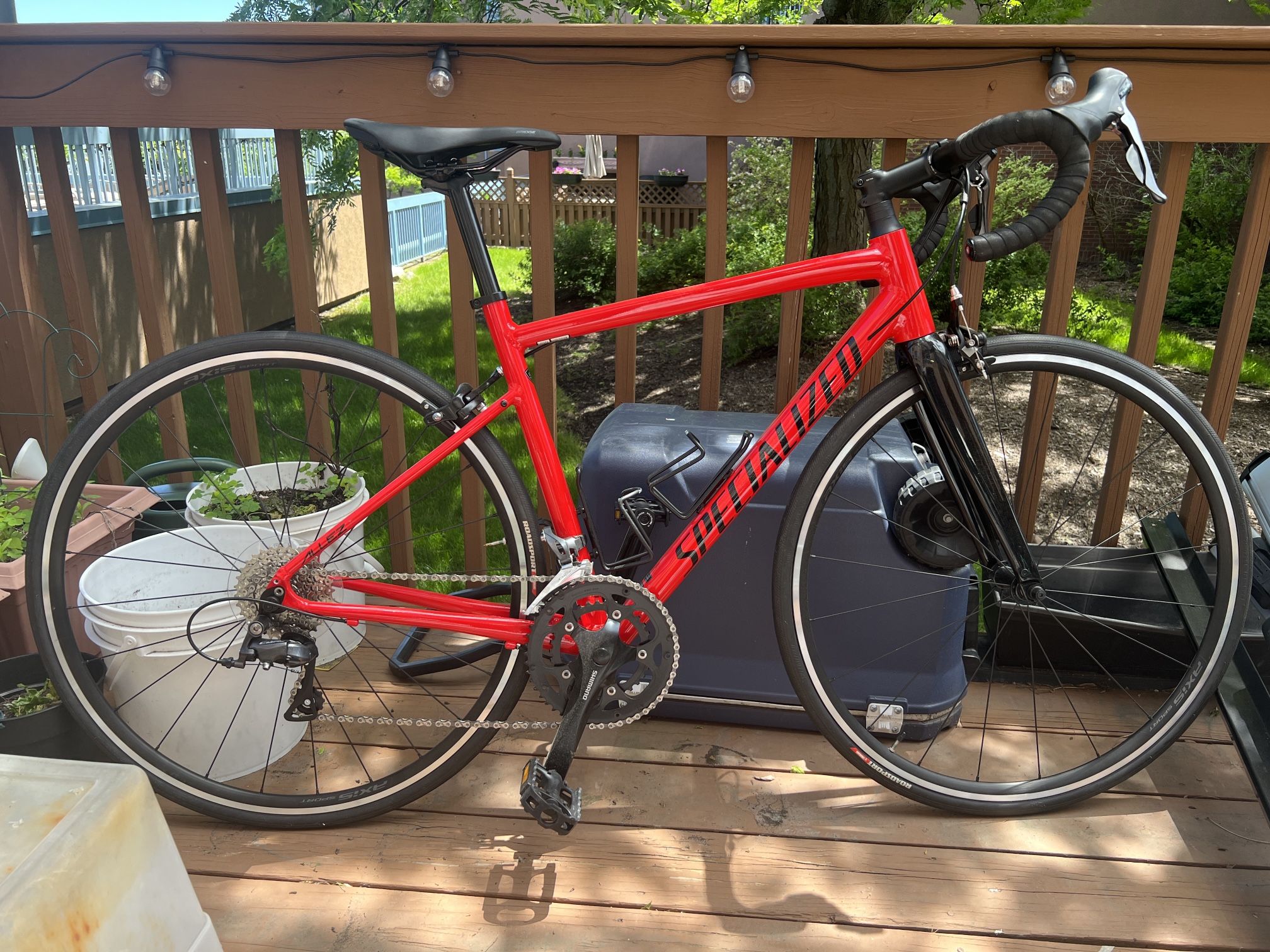 Specialized Allez 52cm