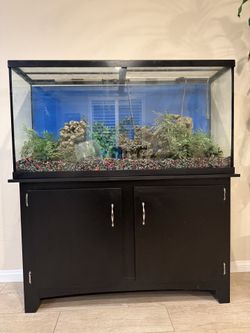 60 Gallon Marineland Aquarium Setup w/ Stand, Filter, Heater & Accessories – Complete Setup