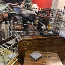 Nice Bird Cages For Sale Prices Starting At $50 Pick Up Mequon area or $20 delivery fee Milwaukee Mequon area