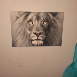 White Lion Wall Canvas