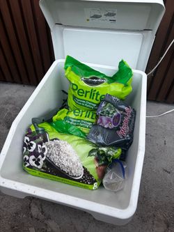 Garden Items + bin