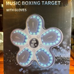 Music Boxing Target with Gloves - NEW