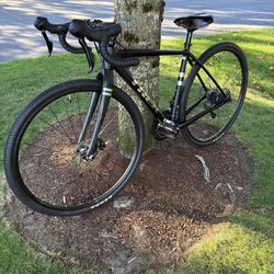 2019 Trek Checkpoint ALR 4