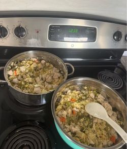 Fresh Dog i: Food (homemade)