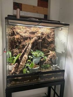 Exo Terra Terrarium 36x18x36 Reptile Tank