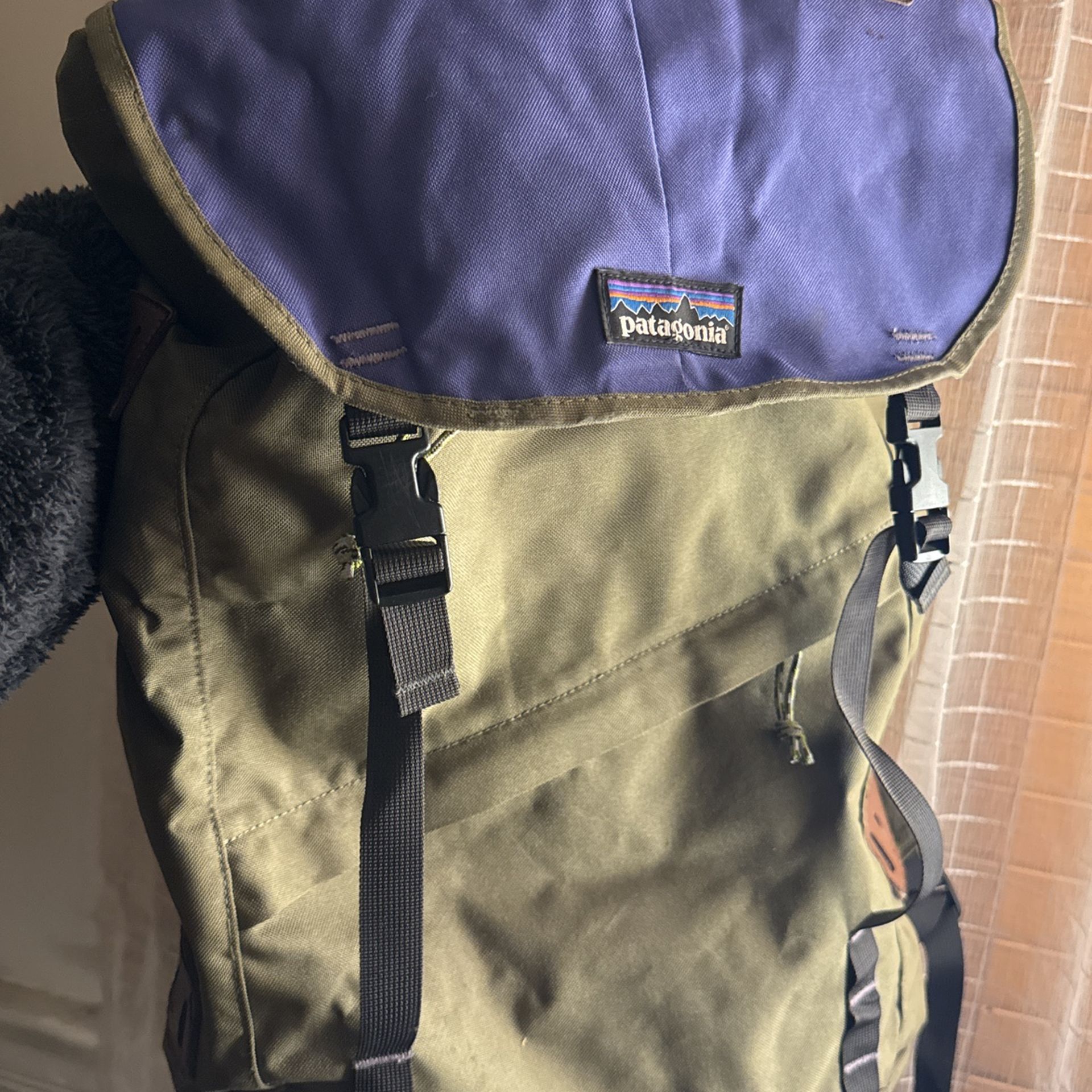 Patagonia Backpack