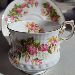 Vintage Queen's Rosina China Tea Cup & Saucer "Wild Flowers" Pattern 1970's

