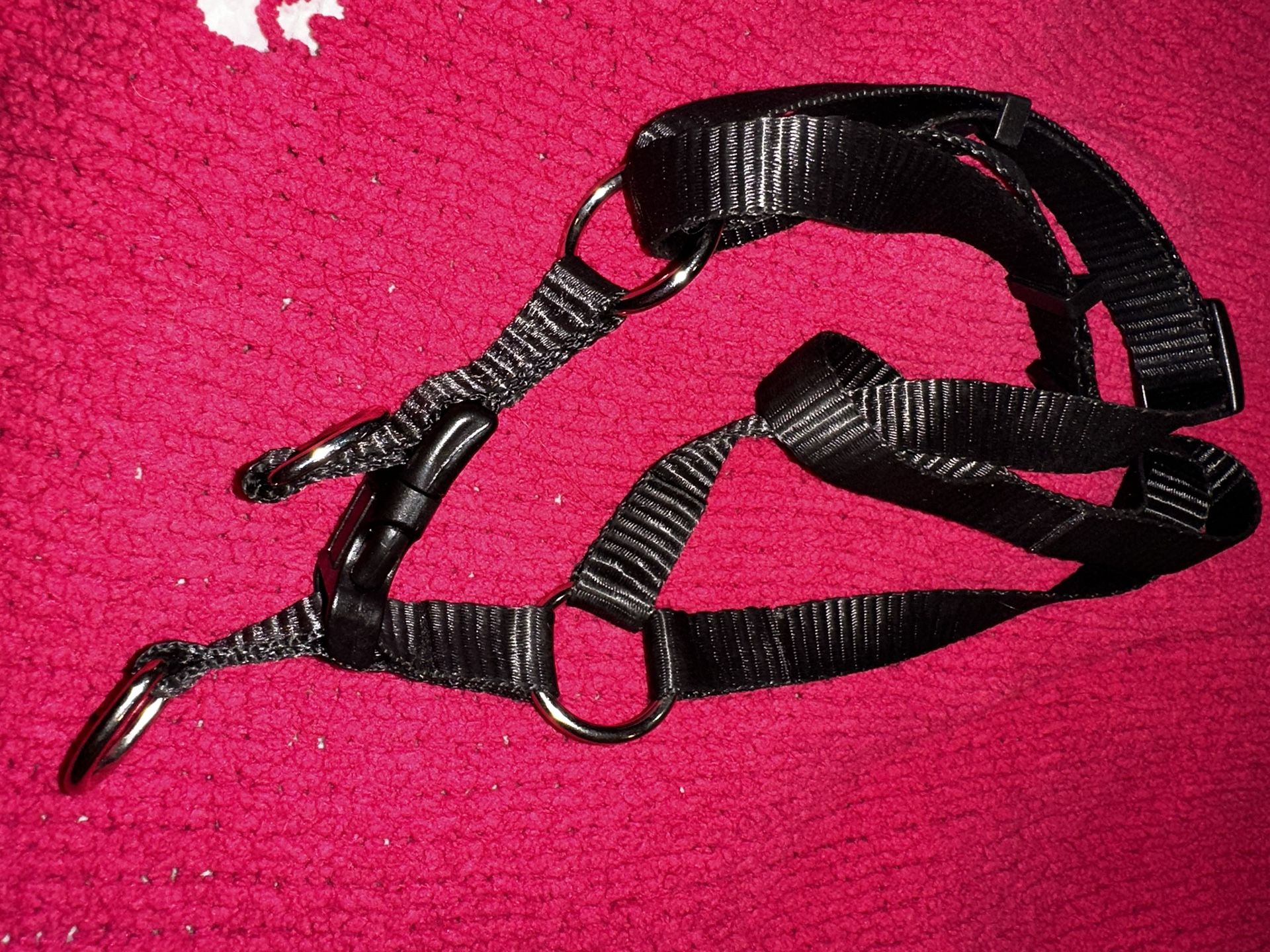 Dog Leash Vest